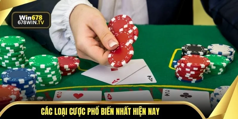 Các loại cược phổ biến nhất hiện nay