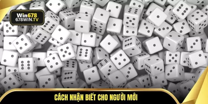 Cách nhận biết cho người mới