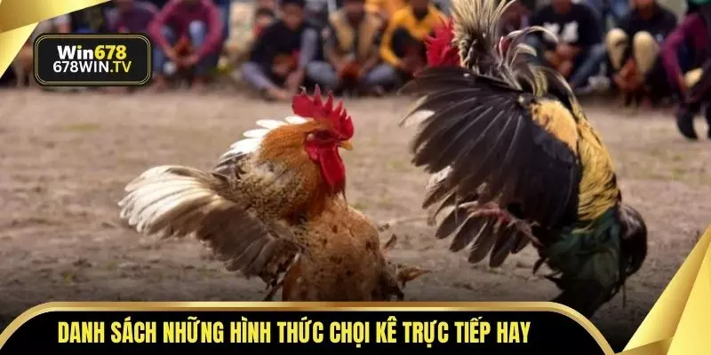 Danh sách những hình thức chọi kê trực tiếp hay
