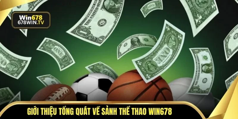Giới thiệu tổng quát về sảnh thể thao WIN678
